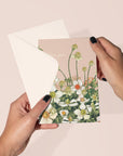 Love | Pink Anemone | Greeting Card