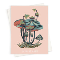 Greeting card featuring colorful illustrated mushrooms on pink background with "You're So Magic" text. Illustrated by Lisel Ashlock.