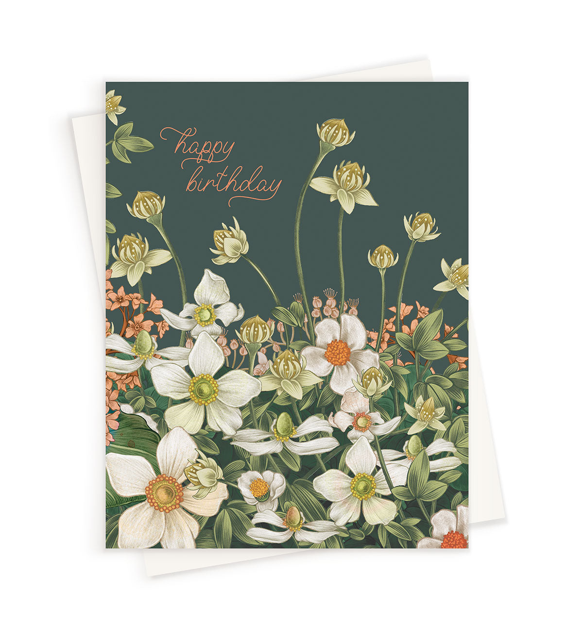 Anemone Blossoms | Greeting Card Anemone Blossoms | Greeting Card