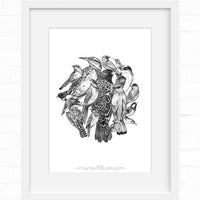 Black and white line drawing of various birds arranged in a circular cluster composition, illustrated by Lisel Ashlock.