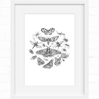 Black and white illustration of various insects including butterflies, moths, dragonfly, beetles, and snail arranged in circular composition. Illustrated by Lisel Ashlock.