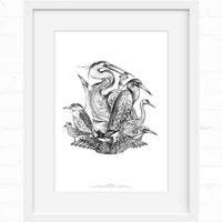 Black and white pen illustration of five shorebirds arranged in a group composition against white background. Illustrated by Lisel Ashlock.