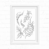 Framed pen and ink illustration of stylized seaweed and kelp specimens in a white matted frame. Illustrated by Lisel Ashlock.