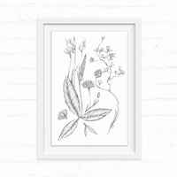 Black and white botanical line drawing of wildflowers and leaves on white paper in white frame. Illustrated by Lisel Ashlock.