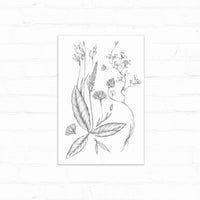 Black and white botanical illustration of delicate wildflowers and leaves on white paper. Illustrated by Lisel Ashlock.