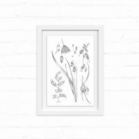 Framed botanical line drawing of delicate wildflowers and grasses in pencil sketch style. Illustrated by Lisel Ashlock.