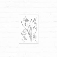 Pencil sketch of delicate wildflowers and botanical elements on white paper against wooden background. Illustrated by Lisel Ashlock.