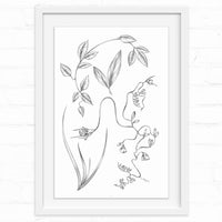 Botanical illustration of native California plants with delicate line drawings on white background Illustrated by Lisel Ashlock