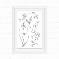 Botanical line drawing of native Tomales plants including curved leaves and delicate flowering stems. Illustrated by Lisel Ashlock.