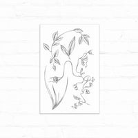 Botanical sketch of three native Tomales plants with delicate leaves and flowers on white paper illustrated by Lisel Ashlock.