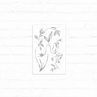 Botanical line drawing of native Tomales plants including flowering stems and foliage on white background. Illustrated by Lisel Ashlock.
