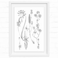 Delicate botanical line drawing featuring five wildflowers with stems and leaves in grayscale. Illustrated by Lisel Ashlock.