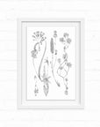 Valley Ford Floral Art Print