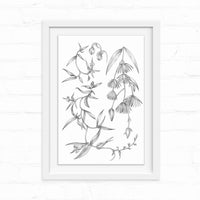 Detailed botanical pencil sketch of flowering plants with delicate petals and leaves in a white frame. Illustrated by Lisel Ashlock.