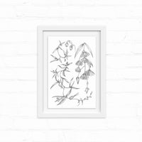 Delicate pencil sketch of drooping flowering plants in a white frame on white shiplap wall. Illustrated by Lisel Ashlock.