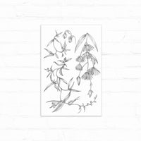 Botanical sketch of delicate flowering plants with elongated leaves and drooping bell-shaped blooms. Illustrated by Lisel Ashlock.
