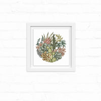 Desert succulents and cacti arranged in a circular composition, illustrated by Lisel Ashlock.