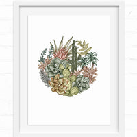 Botanical illustration of desert succulents and cacti arranged in a circular composition. Illustrated by Lisel Ashlock.