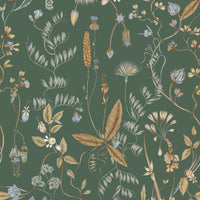 Sonoma Wallpaper in fern featuring botanical illustrations of flowers, leaves, and plants on green background. Illustrated by Lisel Ashlock.