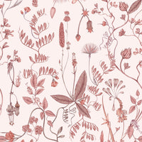 Sonoma Wallpaper in blush featuring botanical line drawings of wildflowers and foliage. Illustrated by Lisel Ashlock.