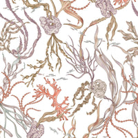 Atoll wallpaper with illustrated sea creatures, coral, and kelp in muted tones. Illustrated by Lisel Ashlock.