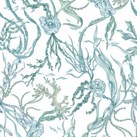 Atoll wallpaper pattern featuring stylized seaweed, jellyfish, and small fish in shades of green and blue. Illustrated by Lisel Ashlock.