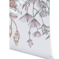Botanical wallpaper mural featuring delicate hanging flowers in mauve and blush tones on a light grey background. Illustrated by Lisel Ashlock.