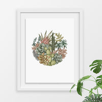 Watercolor illustration of desert succulents and cacti arranged in a circular composition, framed in white. Illustrated by Lisel Ashlock.