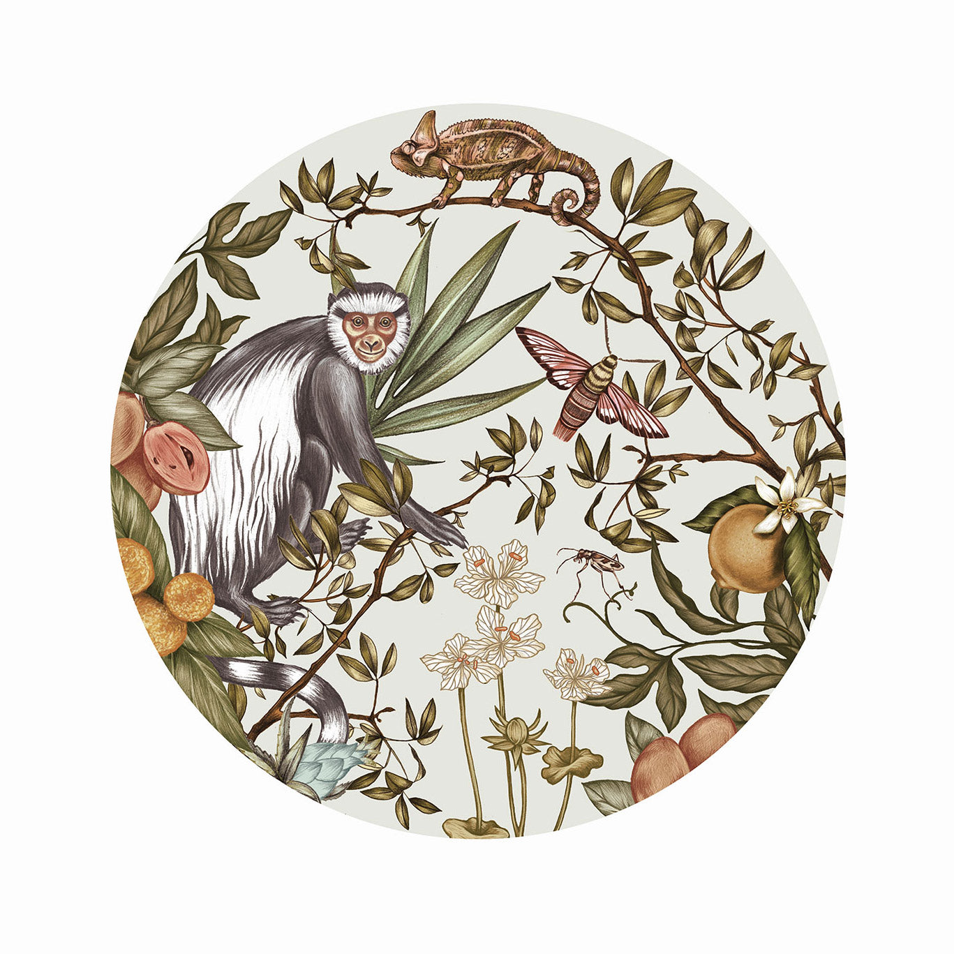 Guereza Garden Collection