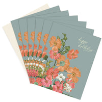 A fan of Happy Birthday greeting cards with colorful wild poppy flowers on sage green background. Illustrated by Lisel Ashlock.