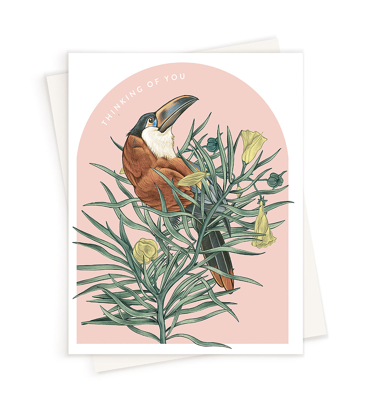 Sentiment Thinking of You Mountain Toucan Card