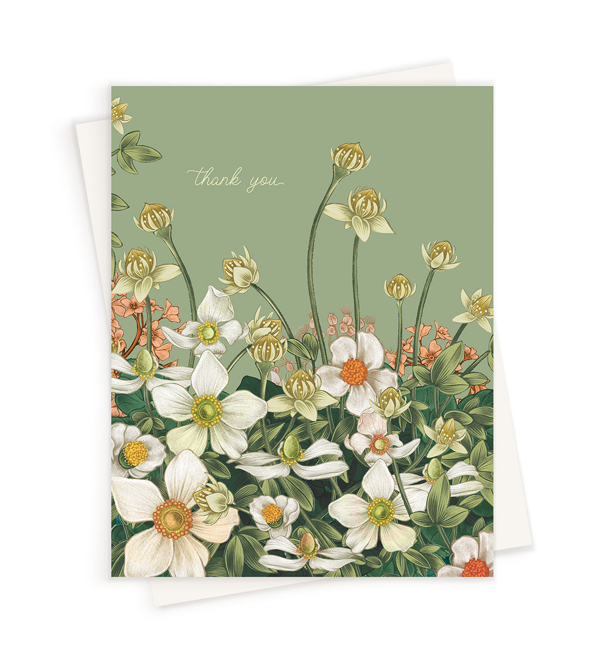 Thank You | Anemone Ceylon Green | Greeting Card – LINNA