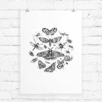 Black and white line drawing of various insects including butterflies, moths, dragonfly, beetles, and snail arranged in circular composition. Illustrated by Lisel Ashlock.