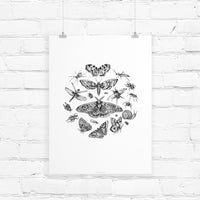 Black and white illustration of various insects including butterflies, dragonflies, beetles, and a snail arranged in a circular composition, illustrated by Lisel Ashlock.