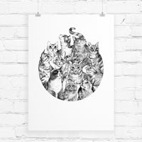 Black and white pen illustration of nine cats with different expressions and markings arranged in a circular composition, illustrated by Lisel Ashlock.