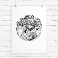 Black and white pen illustration of seven different owl species arranged in a circular composition, labeled below. Illustrated by Lisel Ashlock.