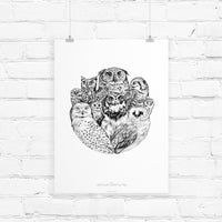 A detailed black and white scientific illustration of nine different owl species arranged in a circular composition. Illustrated by Lisel Ashlock.