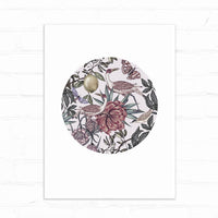 Circular illustration of exotic birds perched among pink flowers, green leaves, and butterflies on white background. Illustrated by Lisel Ashlock.