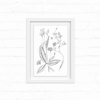 Delicate botanical line drawing of mixed wildflowers and leaves in a white frame. Illustrated by Lisel Ashlock.