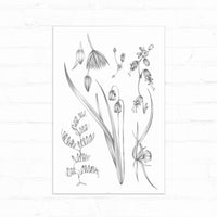 Botanical sketch of wildflowers and grasses including bell-shaped blooms and delicate petals in pencil. Illustrated by Lisel Ashlock.