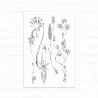 Botanical sketch art print featuring four delicate wildflowers with stems and leaves in pencil illustration by Lisel Ashlock.