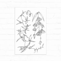 Pencil sketch of delicate flowering plants with drooping bell-shaped blooms and curved leaves on white paper. Illustrated by Lisel Ashlock.