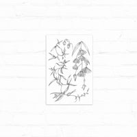 Pencil sketch of delicate flowering plants with drooping bell-shaped blooms and elongated leaves on white paper. Illustrated by Lisel Ashlock.