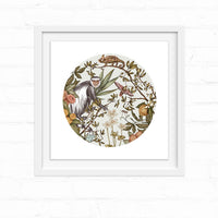Framed art print featuring a guereza monkey surrounded by botanical elements and wildlife in a circular composition, illustrated by Lisel Ashlock.