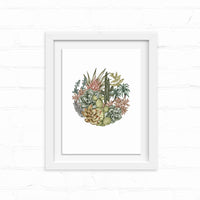 Botanical illustration of desert succulents and cacti arranged in a circular composition, framed in white. Illustrated by Lisel Ashlock.
