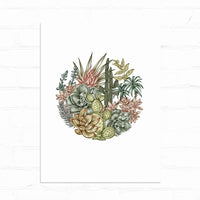 Desert botanical illustration featuring succulents, cacti, and flowering plants arranged in a circular composition. Illustrated by Lisel Ashlock.