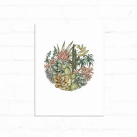 Circular botanical illustration of desert succulents and cacti in muted greens, pinks, and golds on white paper. Illustrated by Lisel Ashlock.
