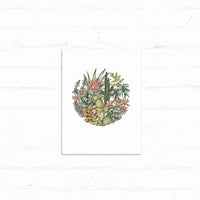 A circular botanical illustration featuring cacti, succulents, and desert flowers in muted greens, pinks, and golds. Illustrated by Lisel Ashlock.