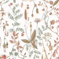 Sonoma Wallpaper featuring botanical illustrations of wildflowers and foliage in coral and sage green tones. Illustrated by Lisel Ashlock.