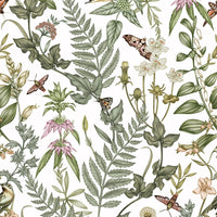 Botanical wallpaper pattern featuring wildflowers, ferns, birds, and butterflies on white background. Illustrated by Lisel Ashlock.
